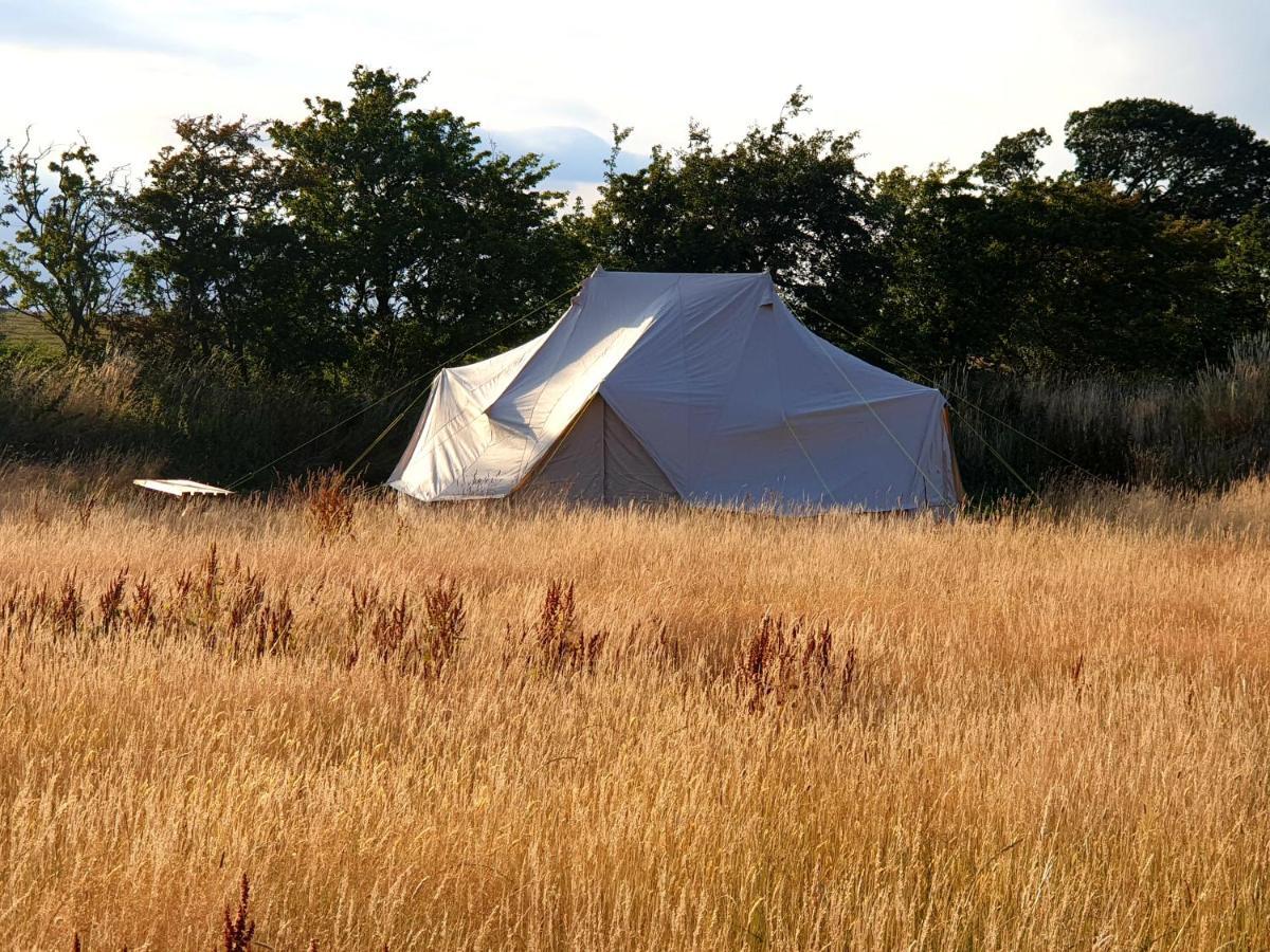 6M Emperor Tent Near Whitby With Log Burner Liverton Bagian luar foto